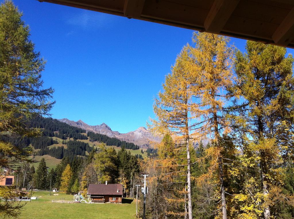 Villa Bunderbach à Adelboden Extérieur photo