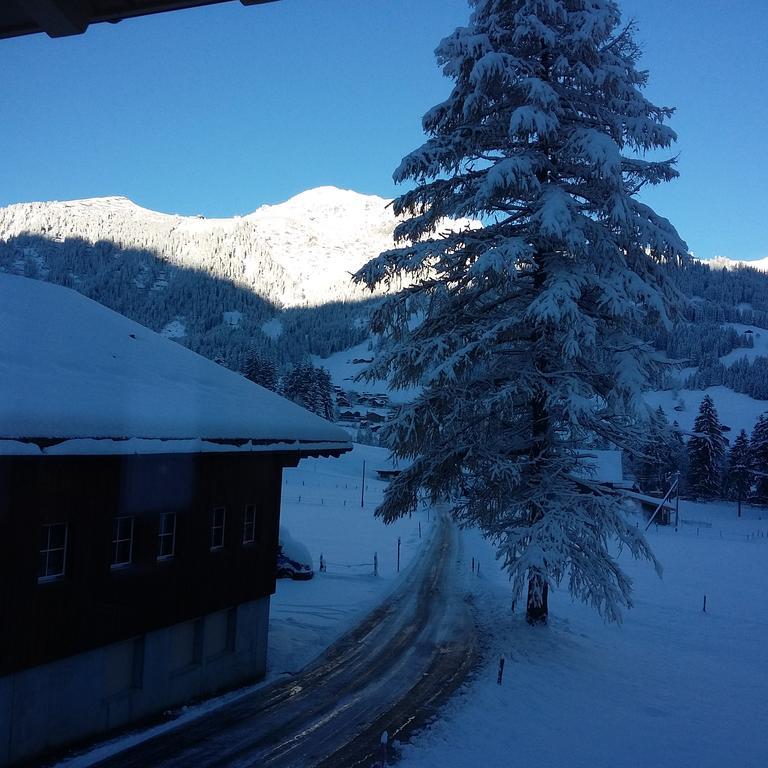 Villa Bunderbach à Adelboden Extérieur photo