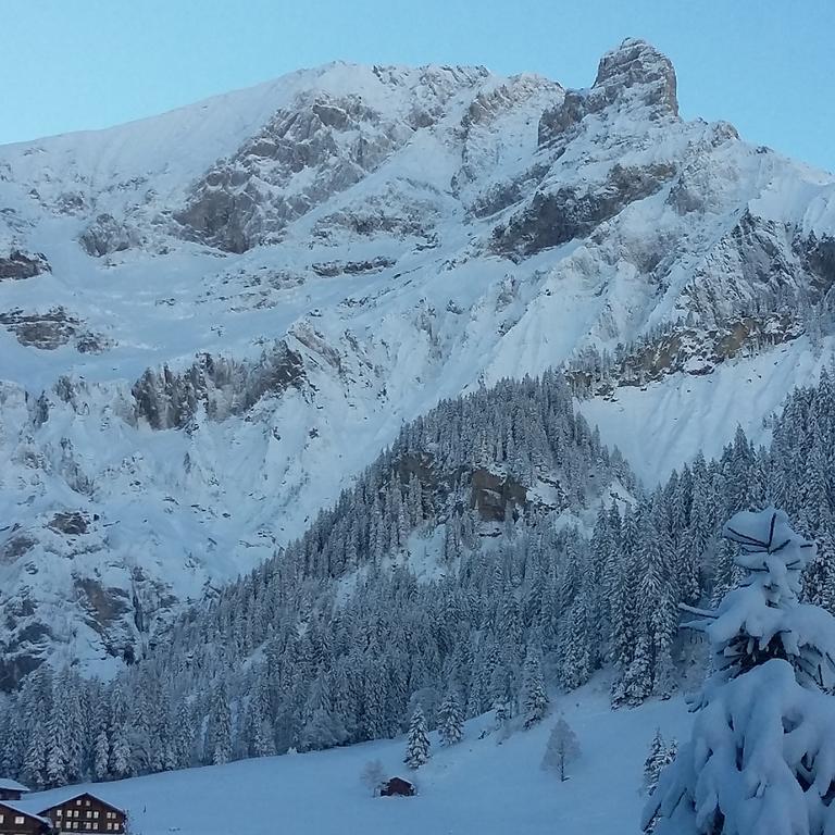 Villa Bunderbach à Adelboden Extérieur photo